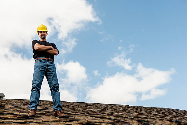 Best Roof Gutter Cleaning  in Ames, IA